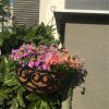 14" Aluminum Hanging Basket with Coir Liner - Lotus dâˆšÂ©cor